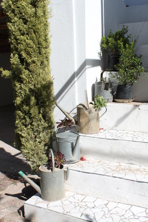 Cape Karoo Guesthouse Beaufort West Εξωτερικό φωτογραφία